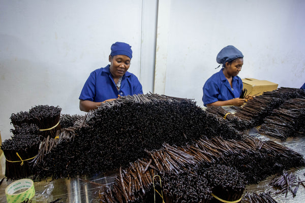 Our Philosophy at Vanillas of the World: Better Vanilla, Better Sourcing