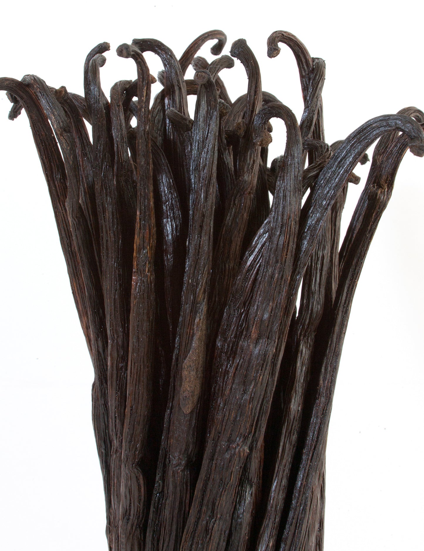 Colombia Pompona Vanilla Beans