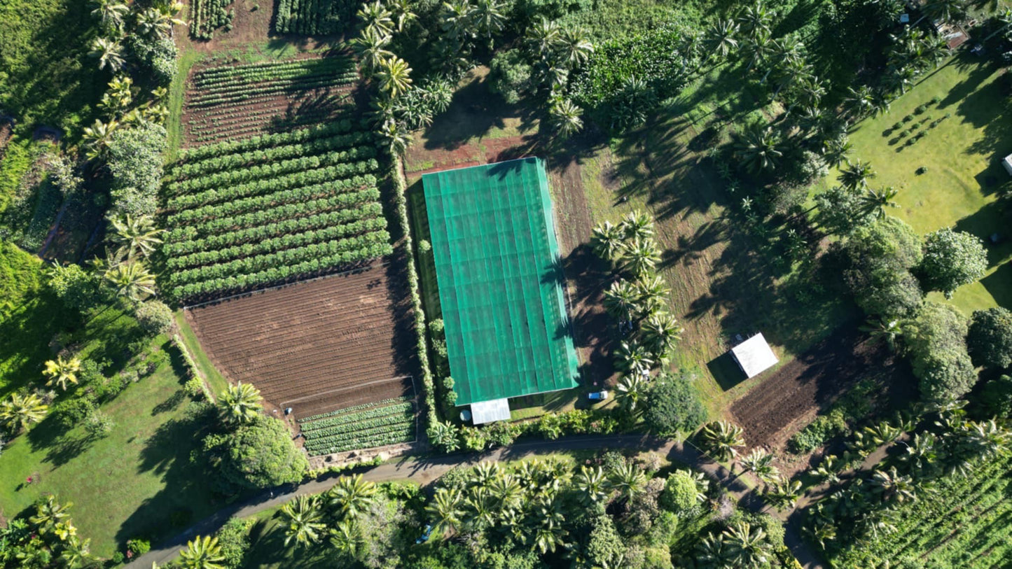 Cook Islands Tahitensis Vanilla Beans - vanillasoftheworld.com