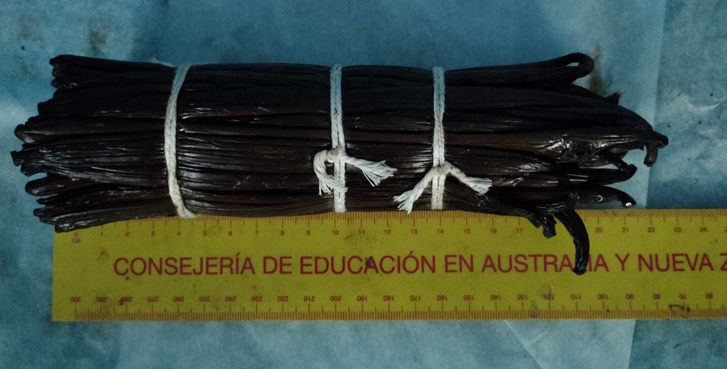 East Timor Planifolia Vanilla Beans - vanillasoftheworld.com