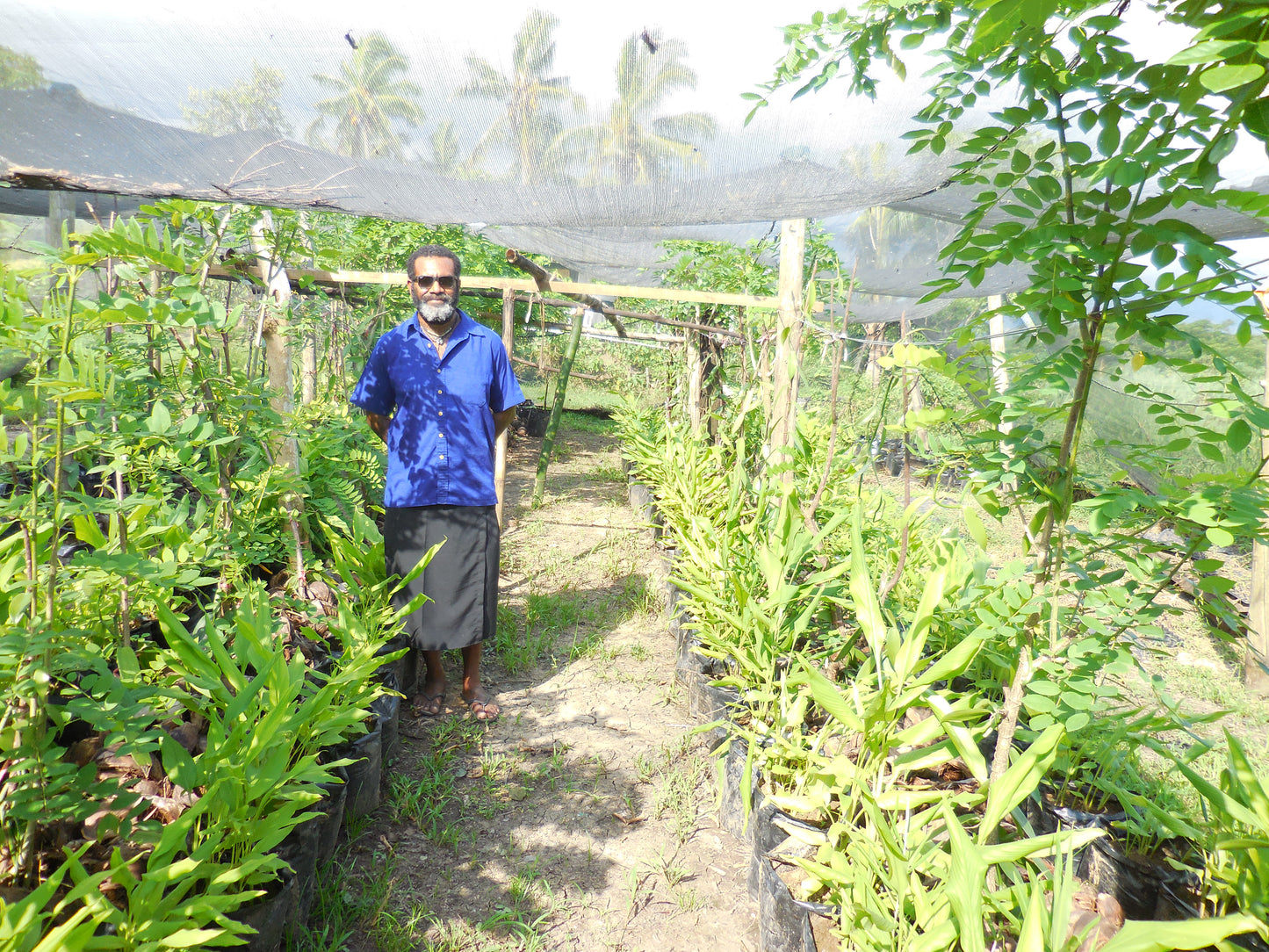 Fiji Planifolia Vanilla Beans - vanillasoftheworld.com