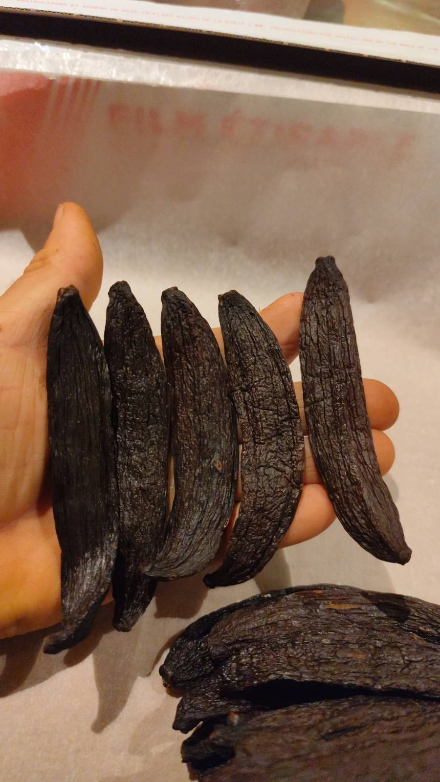 New Caledonia - Pompona Vanilla Beans