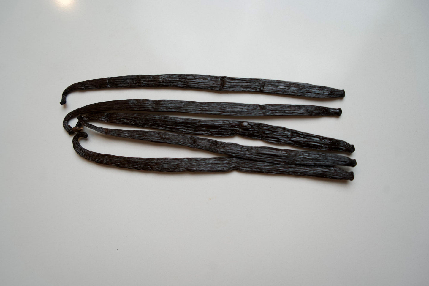 Congo Planifolia Vanilla Beans - vanillasoftheworld.com
