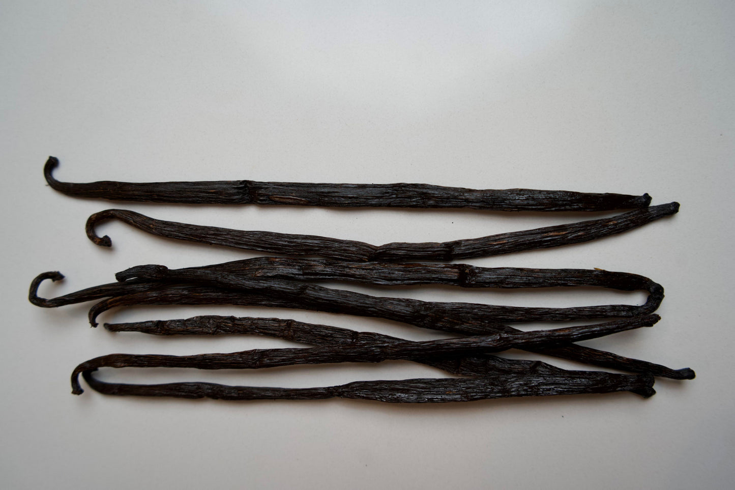 Sri Lanka - Planifolia Vanilla Beans - vanillasoftheworld.com