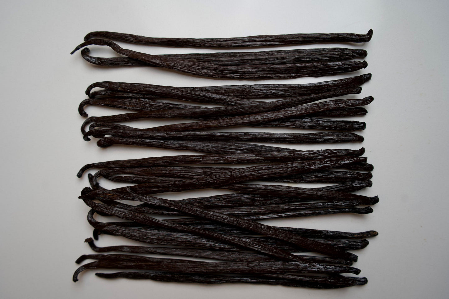 Vanuatu - Planifolia Vanilla Beans - vanillasoftheworld.com