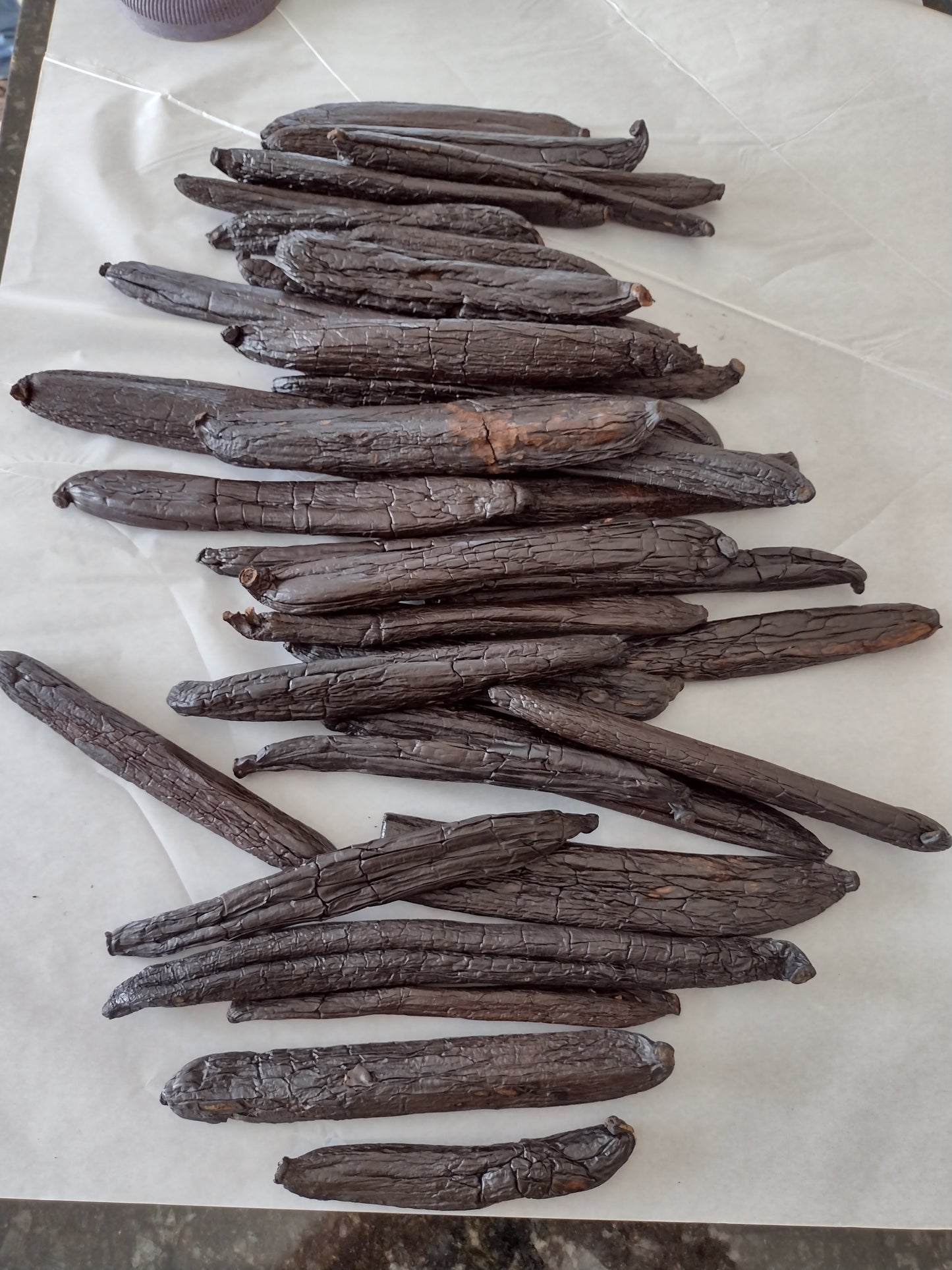Gourmet Vanilla Beans from Brazil - Chamissonis - jonesflavors.com
