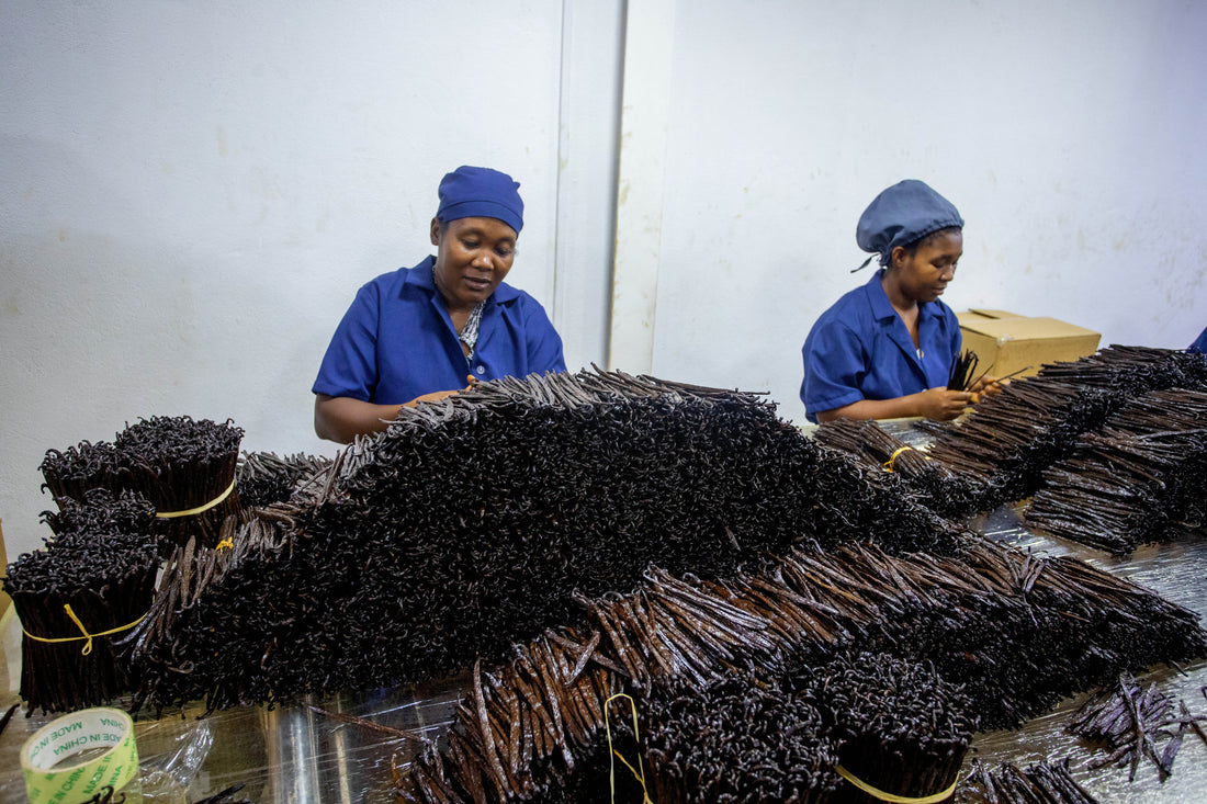Our Philosophy at Vanillas of the World: Better Vanilla, Better Sourcing