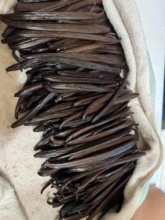 Understanding the Vanilla Bean Grading Process for Wholesale Buyers