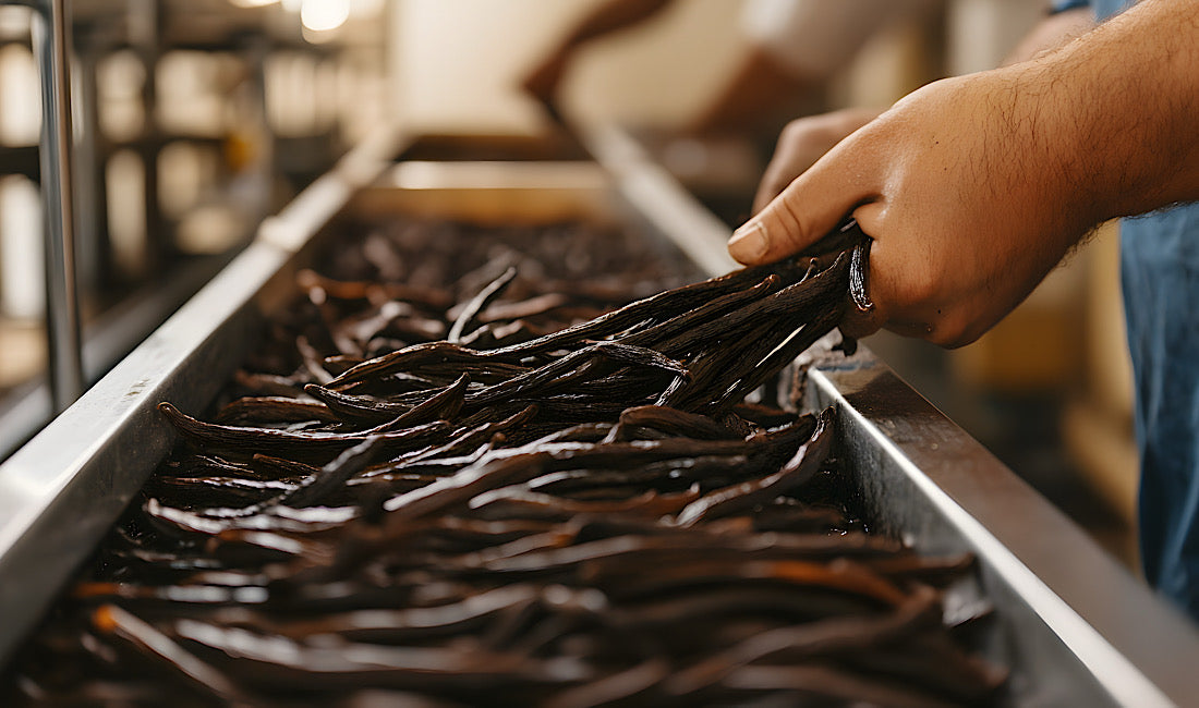 Organic Wholesale Vanilla Beans for Clean-Label Food Brands