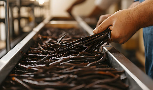 Organic Wholesale Vanilla Beans for Clean-Label Food Brands