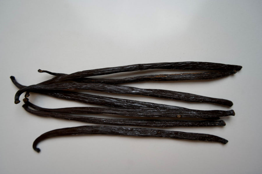 Brazil Planifolia Vanilla Beans - vanillasoftheworld.com