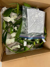 Costa Rica - Tsy Taitra Vanilla Beans - vanillasoftheworld.com