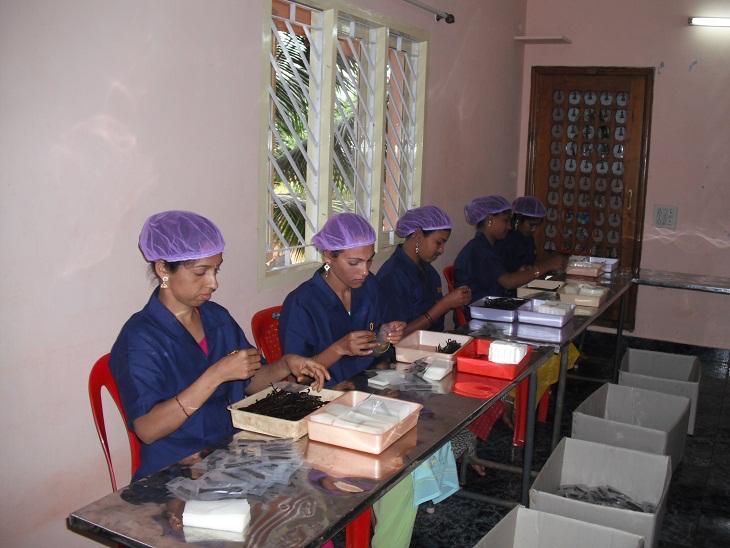 India Planifolia Vanilla Beans - vanillasoftheworld.com