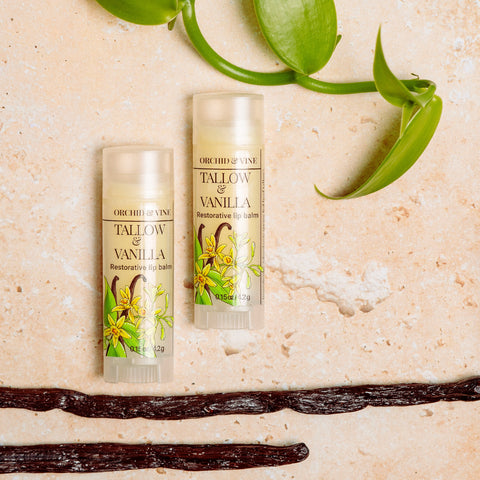 Vanilla & Beef Tallow Lip Balm from Madagascar