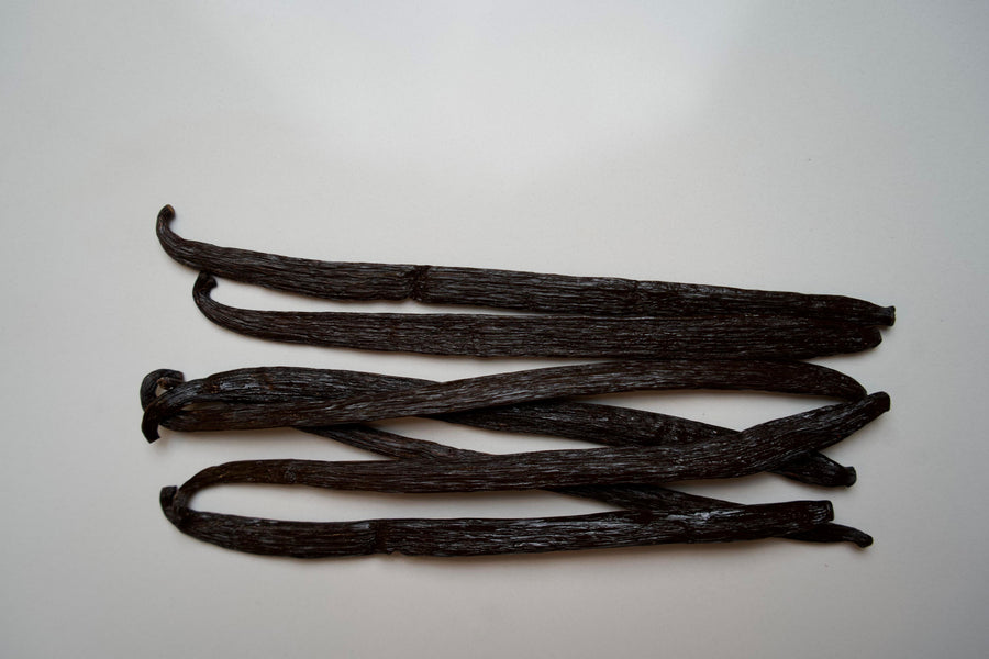 Mexico - Planifolia Vanilla Beans - vanillasoftheworld.com