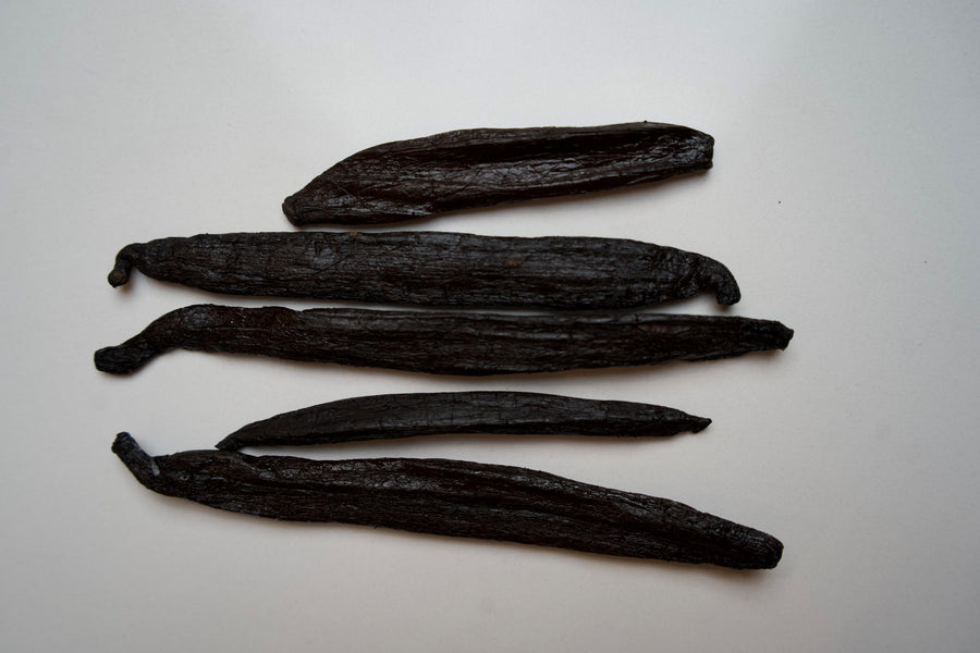 Mexico - Pompona Vanilla Beans - vanillasoftheworld.com