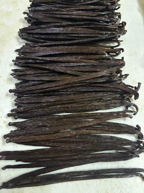 Mexico - Planifolia Vanilla Beans - B Grade - vanillasoftheworld.com