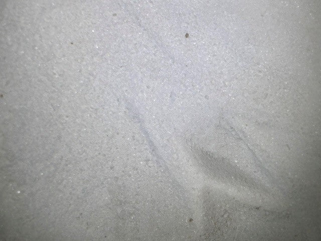 Madagascar - Planifolia - Pure Vanilla Powder