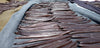 Sri Lanka - Planifolia Vanilla Beans - Certified Organic - vanillasoftheworld.com