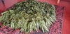 Sri Lanka - Planifolia Vanilla Beans - Certified Organic - vanillasoftheworld.com