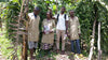 Uganda - Planifolia Vanilla Beans - Super Premium