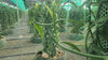 Viet Nam - Tahitensis Vanilla Beans - vanillasoftheworld.com