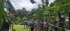 Vanuatu - Planifolia Vanilla Beans - vanillasoftheworld.com