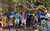 New Caledonia - Planifolia Vanilla Beans - vanillasoftheworld.com