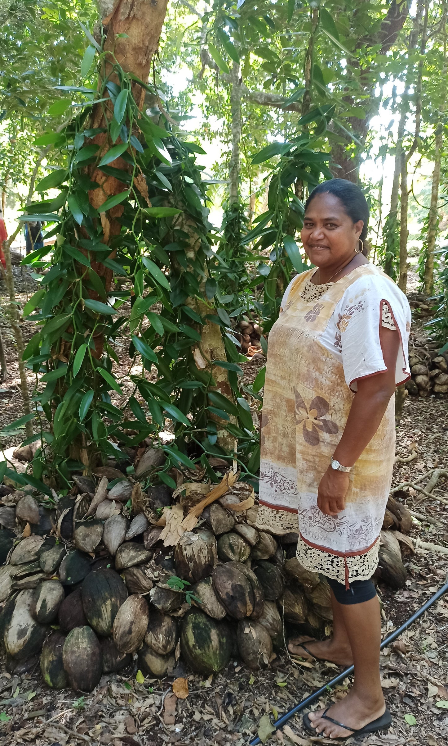 Vanilla Handbook - International purchase only