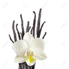Costa Rica - Costaricensis Vanilla Beans - vanillasoftheworld.com