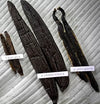 Gourmet Vanilla Beans from Brazil - Chamissonis - vanillasoftheworld.com
