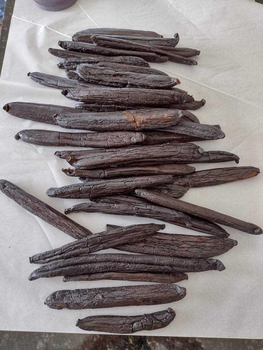 Gourmet Vanilla Beans from Brazil - Chamissonis - jonesflavors.com