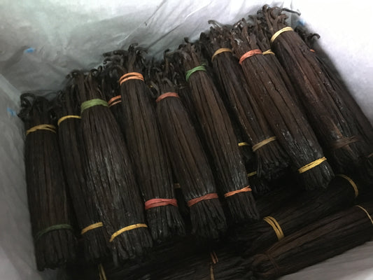 Fiji Planifolia Vanilla Beans - jonesflavors.com